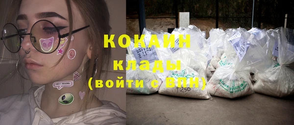 дживик Арсеньев
