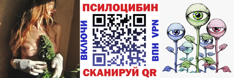 Псилоцибиновые грибы мицелий  где продают наркотики  KRAKEN рабочий сайт  Мамадыш 
